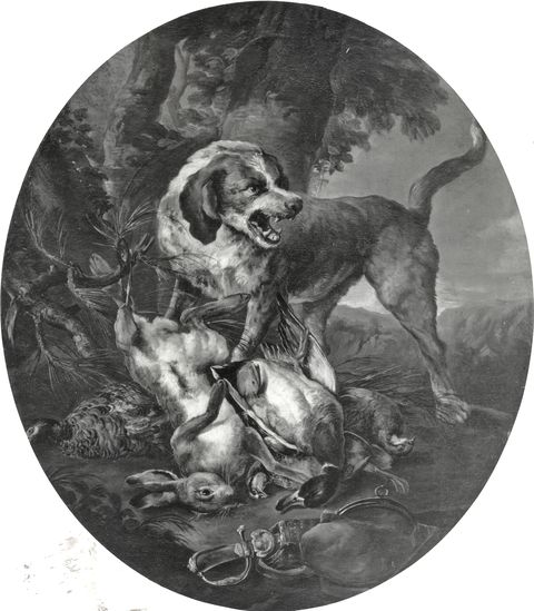 Foto Amoretti — Crivelli Angelo Maria (Crivellone) - sec. XVII/ XVIII - Natura morta con selvaggina e cane — insieme